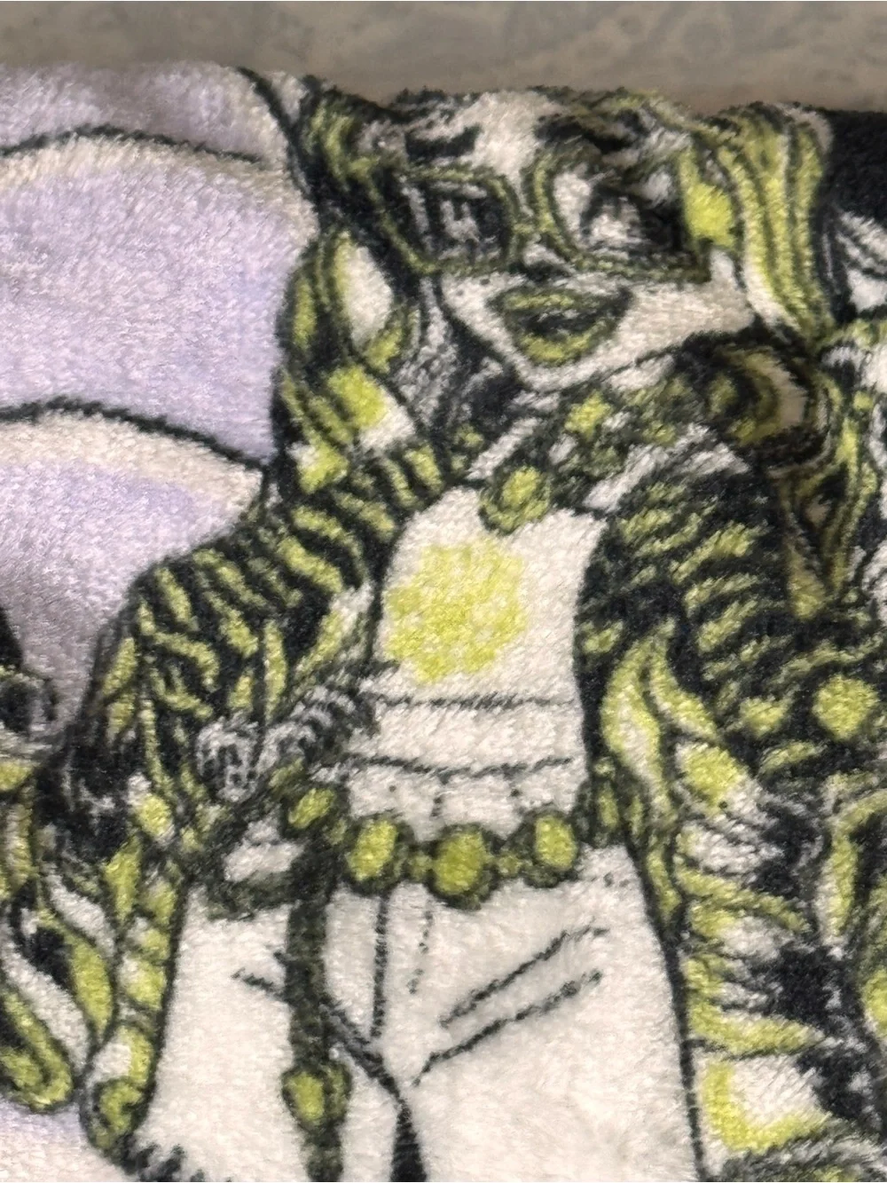 Monster High Soft, Thick Plush Throw Blanket